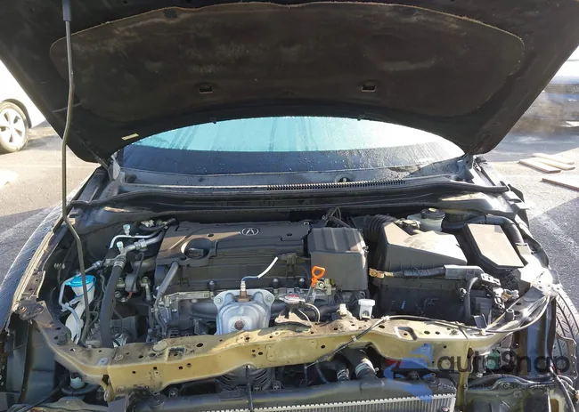 19UDE2F42JA001821: 43907562