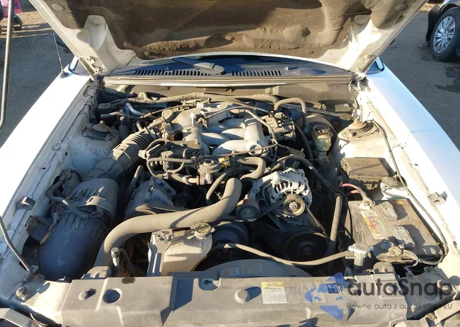 1FAFP40483F304247: 43909183