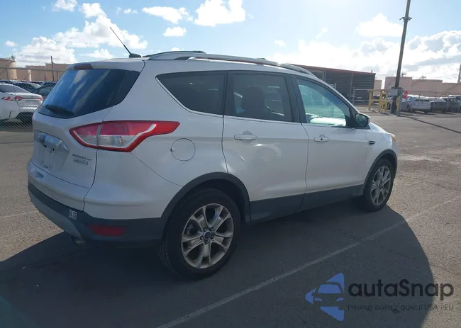 1FMCU0J94EUC45619: 43908451