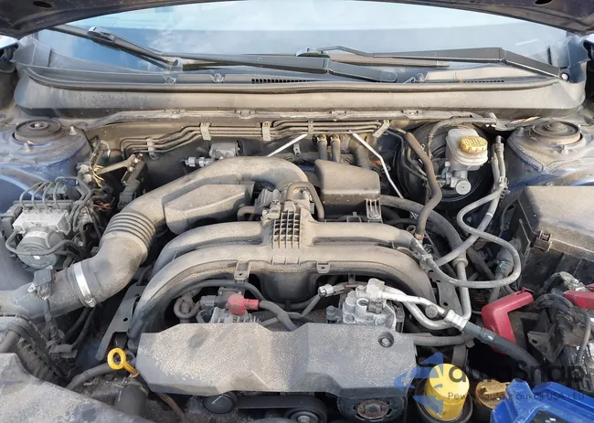 4S4BSBHC8F3240087: 43909848