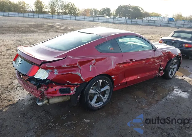 1FA6P8AM2G5296065: 43910036