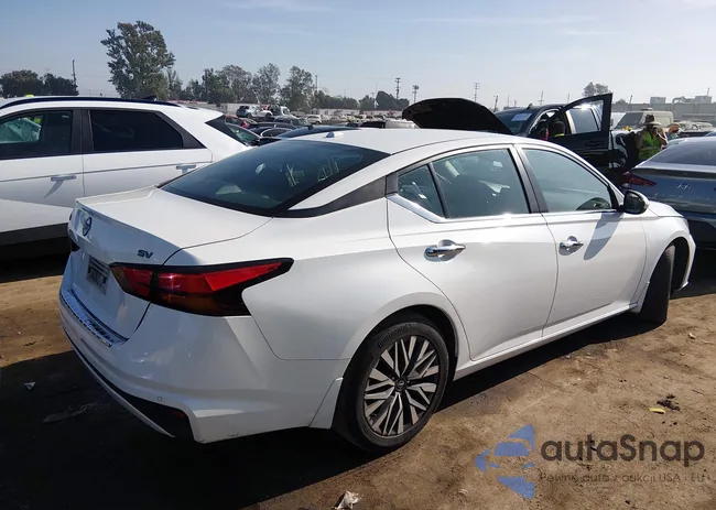 1N4BL4DV6PN411323: 43910177