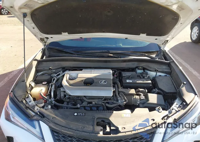 JTHY3JBH6K2003638: 43909504