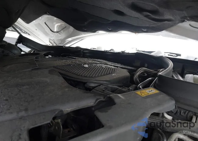 WDDGF8AB7DR251763: 43909509