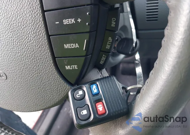 1FAFP24166G123795: 43909581