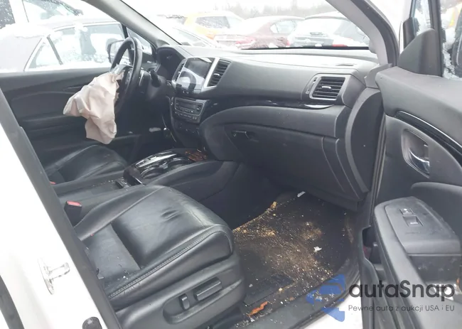 5FNYF5H93HB005630: 43909704