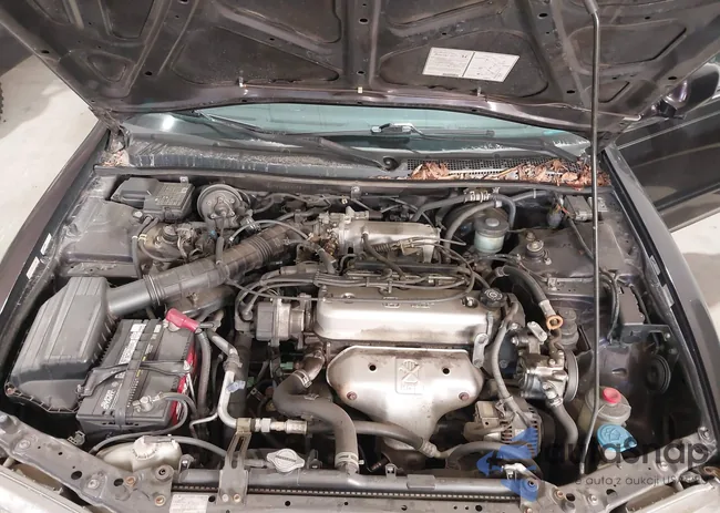 1HGCD5605VA198390: 43909747