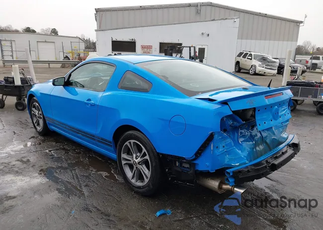 1ZVBP8AM9E5201374: 43910954