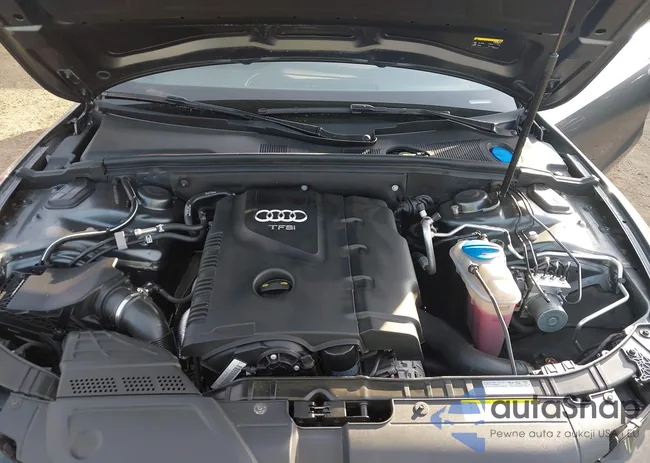 WAUD2AFH9HN004560: 43910961