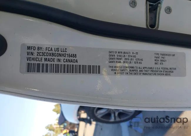 2C3CDXBG0NH216488: 43911329