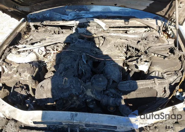 WBAVC535X7FZ78219: 43911361