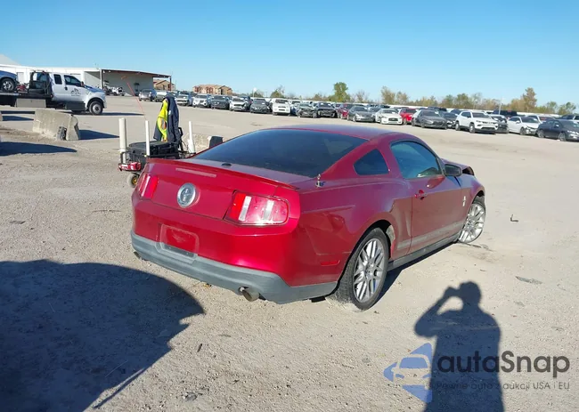 1ZVBP8AM4C5220704: 43910442