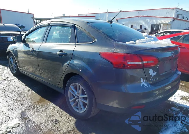 1FADP3F29JL307244: 43910769