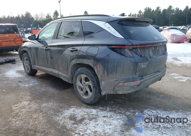 KM8JBCAE8PU247419: 43910819