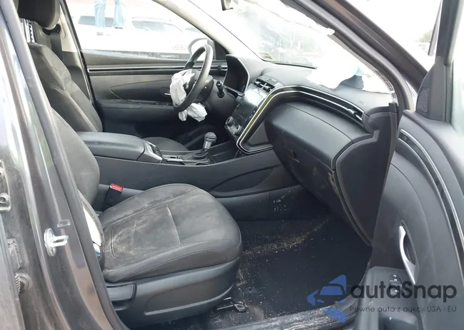 KM8JBCAE8PU247419: 43910819