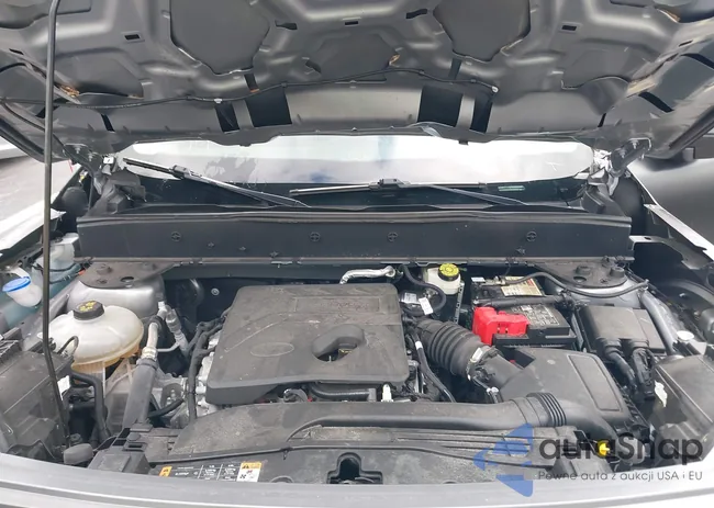 3FMCR9B62MRA21524: 43911839