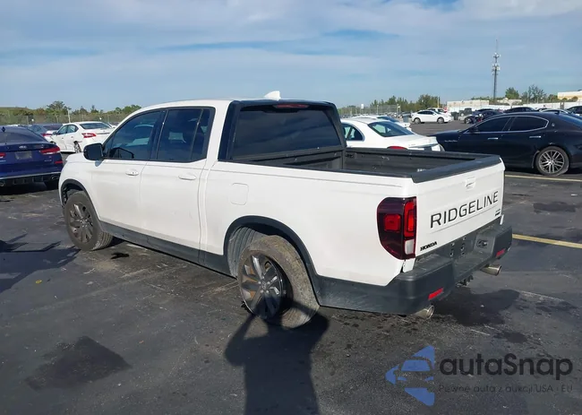 5FPYK3F12RB017239: 43911944