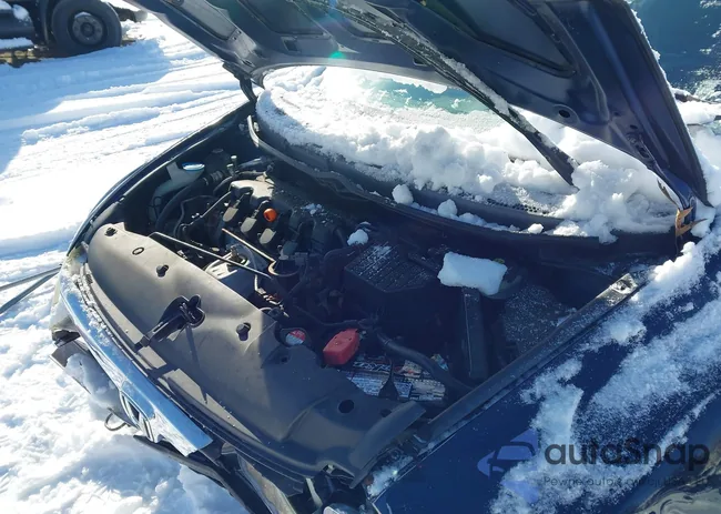 2HGFA16558H531610: 43912158