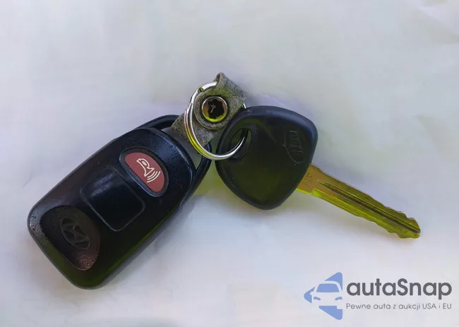 5NPDH4AE6DH187247: 43911455