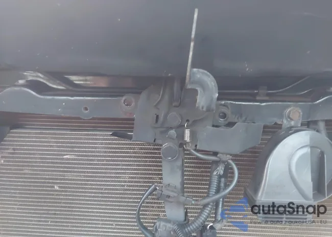 3TYCZ5AN7MT048063: 43911649