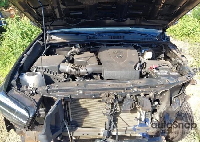 3TYCZ5AN7MT048063: 43911649