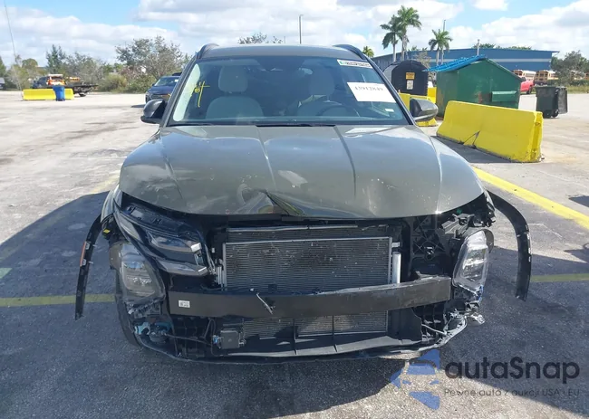 5NMJBCDE9SH491130: 43912849