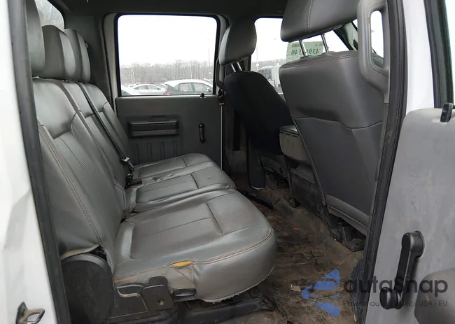 1FD7W2B61CEC39344: 43913140