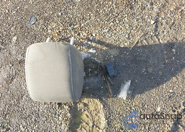 1FTEW1E85HFA75455: 43913217