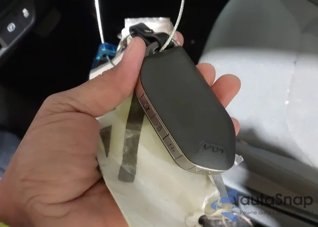 3KPFT4DE7SE023381: 43913823