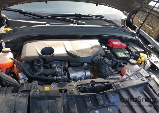 ZACPDFCW5R3A20698: 43913884