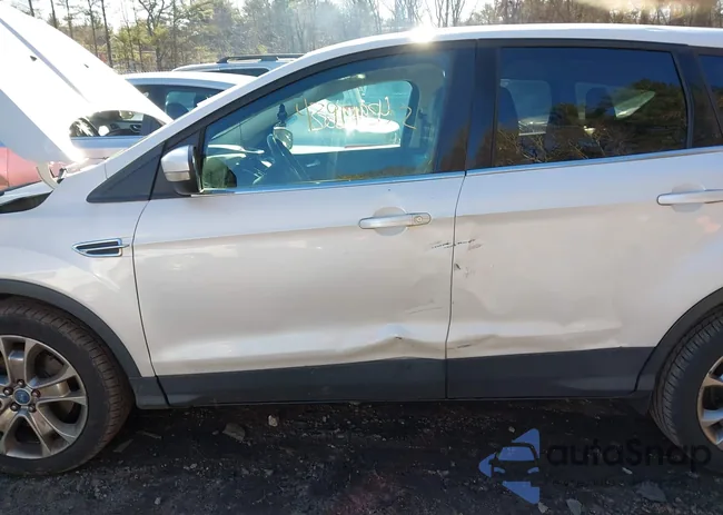 1FMCU9HX4DUB19770: 43914352