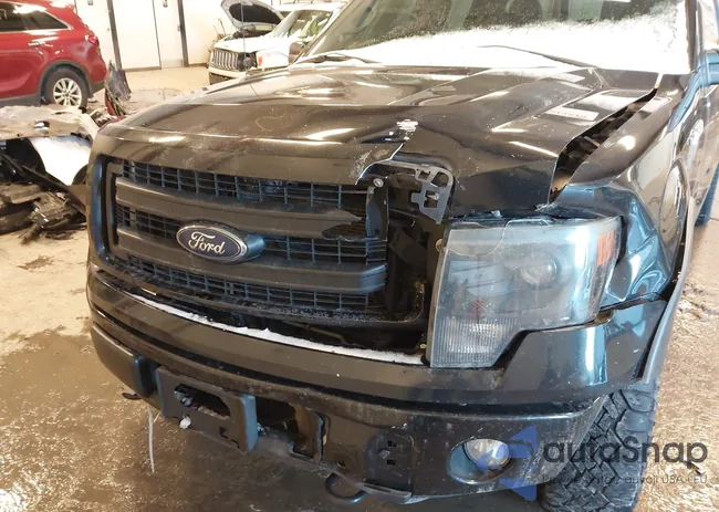 1FTFW1EF7DFD20205: 43913519