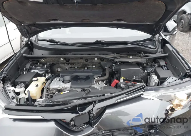 JTMRFREVXJD240410: 43913741