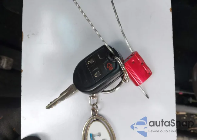 1FM5K8D8XFGA30861: 43915010