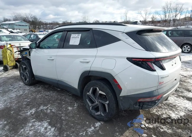 KM8JECA12PU120430: 43914531