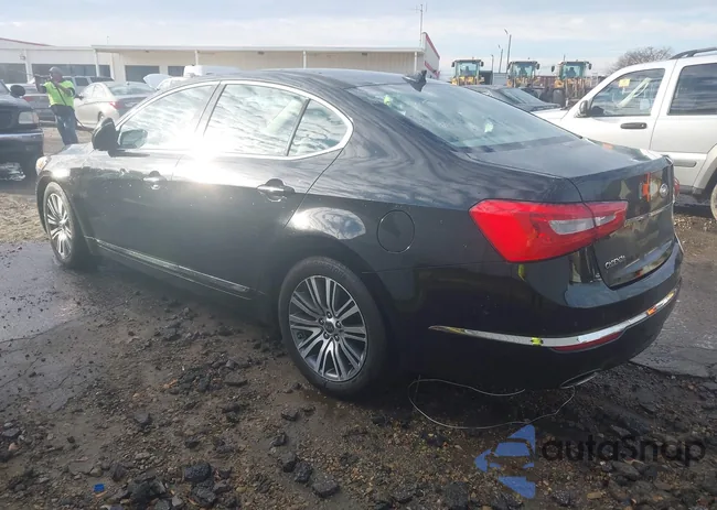 KNALN4D77E5166312: 43914743