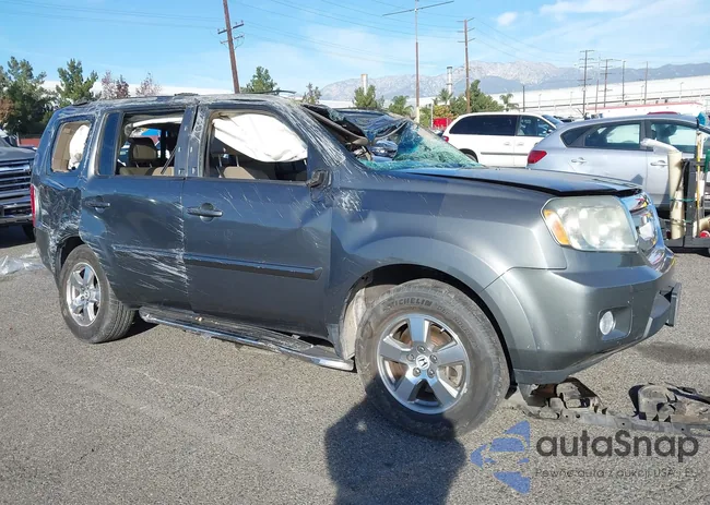 5FNYF38689B005442: 43916293