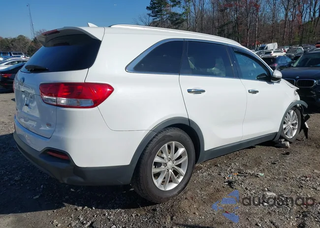 5XYPG4A32GG058755: 43916299