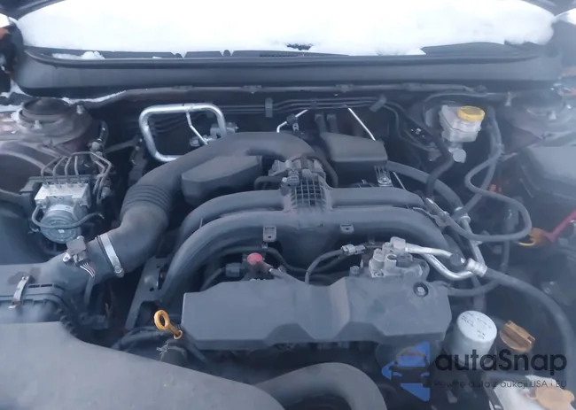 4S4BSATC4K3282493: 43916308