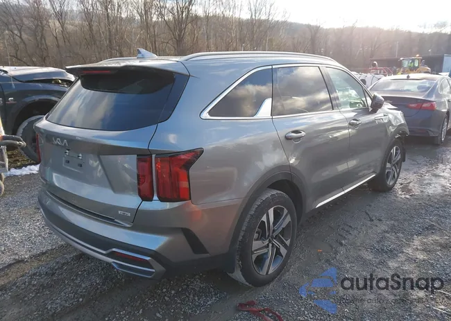 KNDRMDLG2P5144383: 43915416