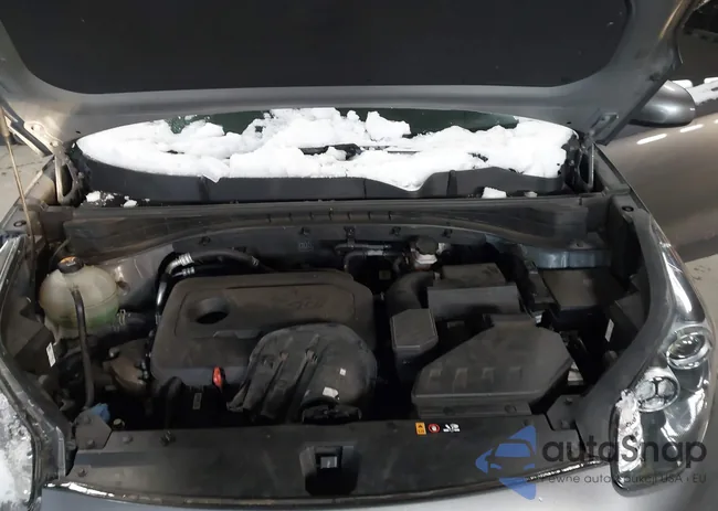 KNDPMCAC7H7184515: 43915773