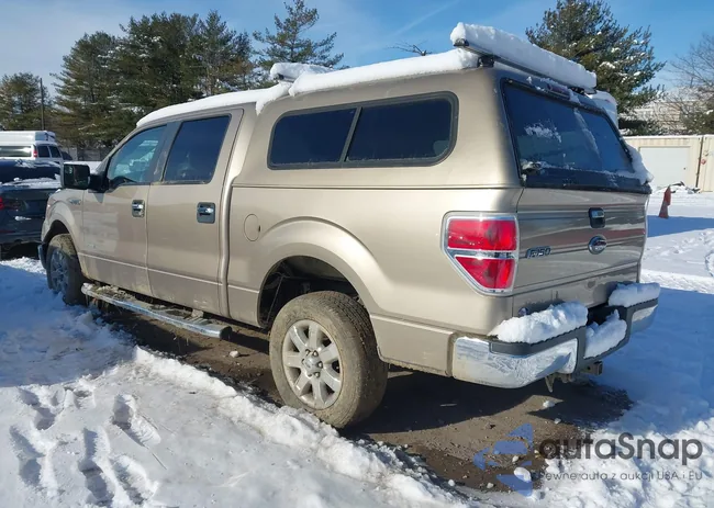 1FTFW1CT2DFD29967: 43916915