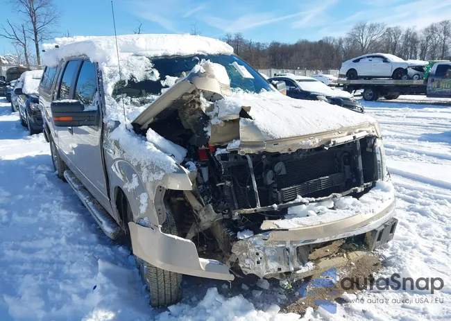 1FTFW1CT2DFD29967: 43916915