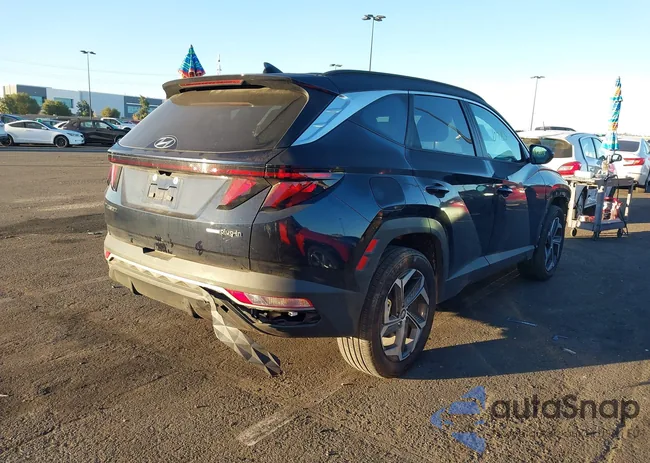 KM8JBDD23RU162501: 43916485