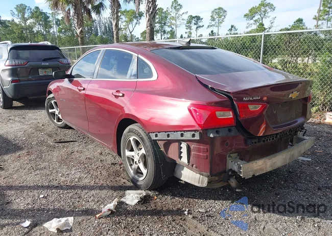 1G1ZB5ST6GF311390: 43916771