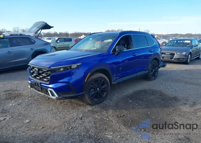 5J6RS6H94PL009245: 43917809