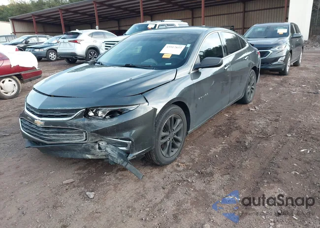 1G1ZC5ST1HF263294: 43917833