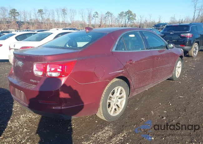 1G11C5SL0FF209902: 43918133