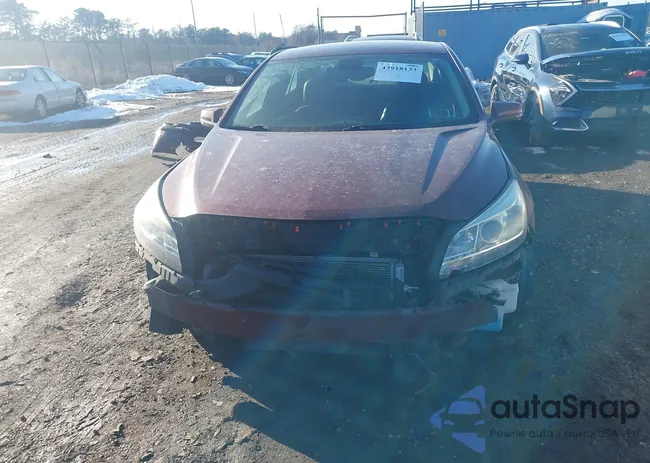 1G11C5SL0FF209902: 43918133