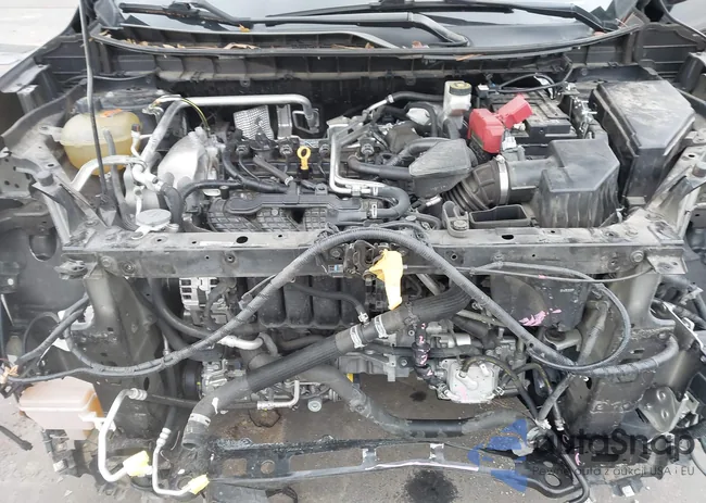 5N1AT3BAXMC697891: 43918144